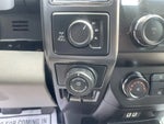 2019 F-150 Thumbnail 14