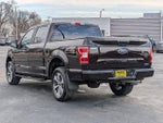 2020 F-150 Thumbnail 5