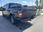 2020 F-150 Thumbnail 3