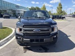 2020 F-150 Thumbnail 8