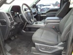 2020 F-150 Thumbnail 13