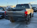 2020 F-150 Thumbnail 7