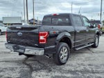 2020 F-150 Thumbnail 8
