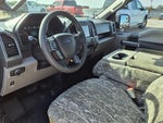 2020 F-150 Thumbnail 8
