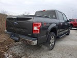 2020 F-150 Thumbnail 4