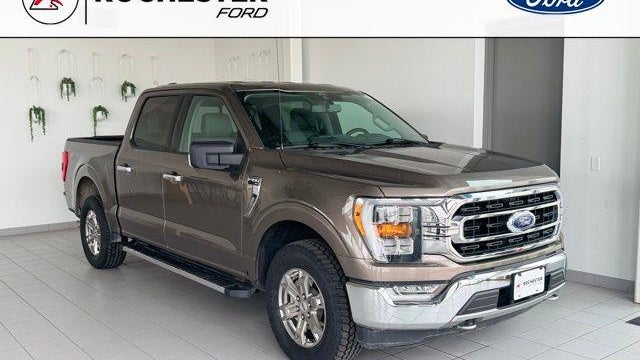 Preowned 2021 Ford F-150 XL for Sale