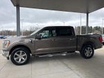 2021 F-150 Thumbnail 4