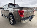 2021 F-150 Thumbnail 5