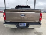 2021 F-150 Thumbnail 6