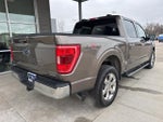 2021 F-150 Thumbnail 8