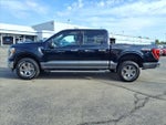 2021 F-150 Thumbnail 10