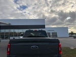 2021 F-150 Thumbnail 4
