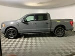 2021 F-150 Thumbnail 12