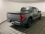 2021 F-150 Thumbnail 15