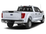 2021 F-150 Thumbnail 3
