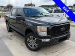 2021 F-150 Thumbnail 4