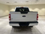 2022 F-150 Thumbnail 4