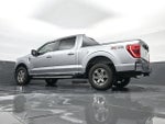2022 F-150 Thumbnail 23
