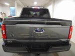 2022 F-150 Thumbnail 5