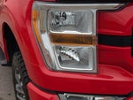 2022 F-150 Thumbnail 4