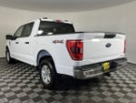 2022 F-150 Thumbnail 8
