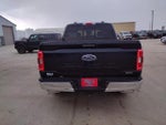 2022 F-150 Thumbnail 6