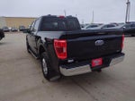 2022 F-150 Thumbnail 7