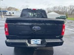 2023 F-150 Thumbnail 8