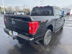 2023 F-150 Thumbnail 10