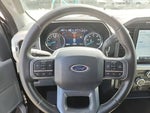 2023 F-150 Thumbnail 14