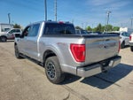2023 F-150 Thumbnail 4
