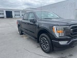 2023 F-150 Thumbnail 8