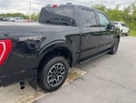 2023 F-150 Thumbnail 12