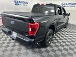 2023 F-150 Thumbnail 4