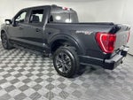2023 F-150 Thumbnail 7