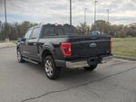 2023 F-150 Thumbnail 5