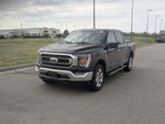 2023 F-150 Thumbnail 7