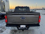 2023 F-150 Thumbnail 39