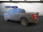 2023 F-150 Thumbnail 4