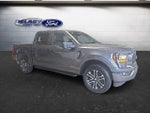 2023 F-150 Thumbnail 10