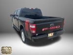 2023 F-150 Thumbnail 7