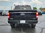 2023 F-150 Thumbnail 5