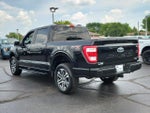 2023 F-150 Thumbnail 6