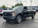 2023 F-150 Thumbnail 8