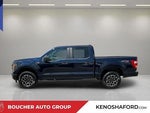 2023 F-150 Thumbnail 8