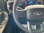 2023 F-150 Thumbnail 11