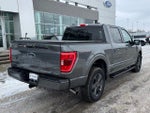 2023 F-150 Thumbnail 38