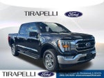 2023 F-150 Thumbnail 28