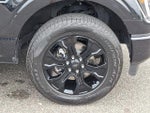 2023 F-150 Thumbnail 8