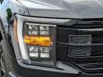 2023 F-150 Thumbnail 9